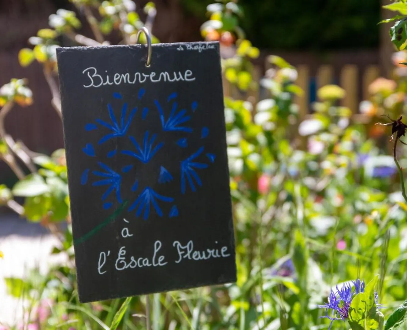 L'Escale Fleurie A Saint Brieuc Panzió Saint-Brieuc